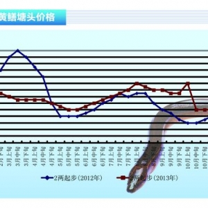 �S�X���r�������� ����ˮ�aǰ�ء�2013��12�¿��Ј�څ��