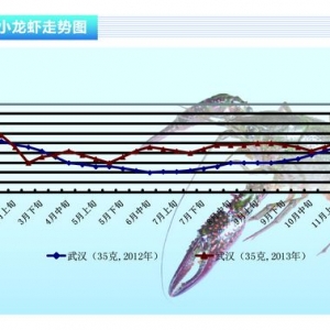 С���r���Ј��������� �r���^�ߡ���ˮ�aǰ�ء�2013��12�¿��Ј�څ��