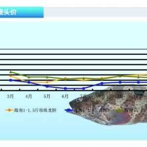 ʯ���~���r����m(x��)���� ����ˮ�a(ch��n)ǰ�ء�2013��12�¿��Ј�څ��