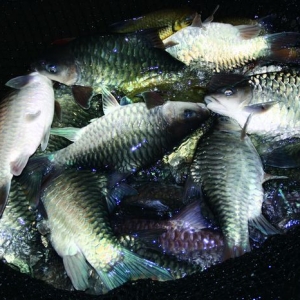 ������w�������ˡ����ɵ�ˮ�~�����c