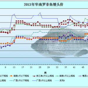 2013��12��16-19���_���~�r�������܈�