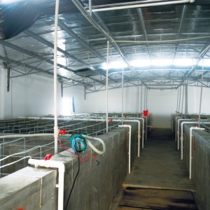 �ո�ˮ�a�����V���r���һƷ��