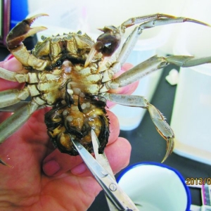 ��ззū�����\�Ό�(sh��)��