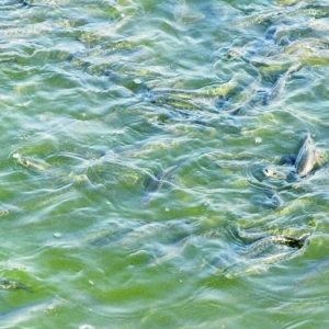 2013�����������~���Ј�����c˼��