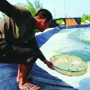 �a(ch��n)�I(y��)���� ��(du��)�r�B(y��ng)ֳ���ͻ��