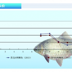 �a�~���Ј��t�� �r���^�m�µ�����ˮ�aǰ�ء�2014��1�¿��Ј�څ��