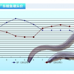 ���~���r�������µ�����ˮ�aǰ�ء�2014��1�¿��Ј�څ��