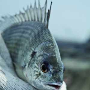 �B�~���磺������������S�������D��