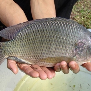 2014��1��13��-18���_���~�����܈�