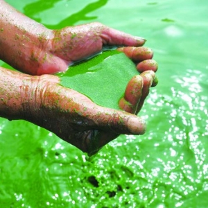 �{����������