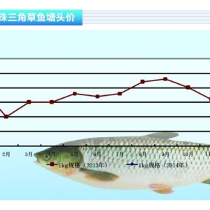 ���~�������ǳ��m(x��)���� ���K�r���ϝq����ˮ�a(ch��n)ǰ�ء�2014��2�¿��Ј�څ��