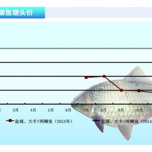 �a�~���r�����µ�����ˮ�aǰ�ء��s־2014��2�¿��Ј�څ��