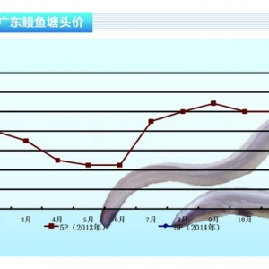 ���~���ձ�����Ǹ�� �r��ͻ�ơ�����������ˮ�aǰ�ء�2014��2�¿��Ј�څ��