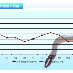 �S�X���r��������� ����ˮ�aǰ�ء��s־2014��2�¿��Ј�څ��