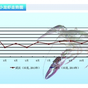 С���r��������ƽ �r�����@�ϝq ����ˮ�aǰ�ء�2014��2�¿��Ј�څ��