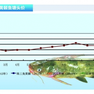 �S��~���r�񷀶�����ˮ�aǰ�ء��s־2014��2�¿��Ј�څ��