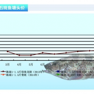 ʯ���~��Ҏ���~�q�r ���~���r����ˮ�aǰ�ء��s־2014��2�¿��Ј�څ��