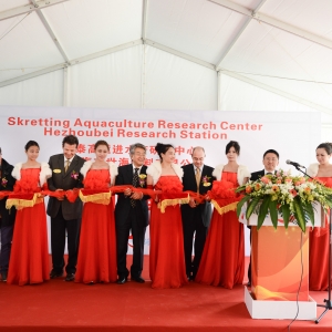 ̩��΢ƽ�⼼�g(sh��)����׻�(y��ng)�����r��