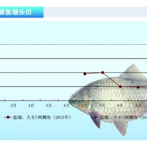 �a�~�����m�������顪��ˮ�aǰ�ء�2014��3�¿��Ј�څ��