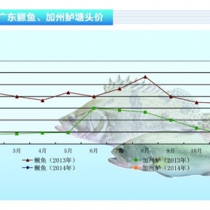 �����|������������߃r�񡪡�ˮ�aǰ�ء�2014��3�¿��Ј�څ�ݡ�