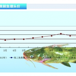 �S��~���r���ԝq����ˮ�aǰ�ء�2014��3�¿��Ј�څ��