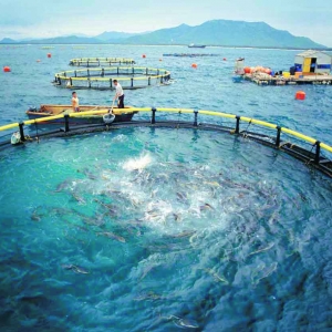 2013�꺣��ʡ��ˮ�Bֳ�O��������