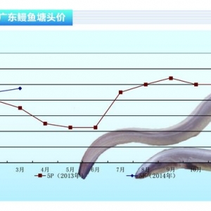 ���~���r�������ϝq����ˮ�aǰ�ء�2014��4�¿��Ј�څ��