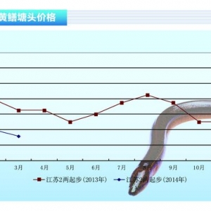 �S�X��������m���� �r���y�q����ˮ�aǰ�ء��s־2014��4�¿��Ј�څ��