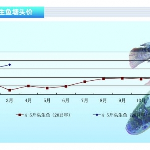 ���~�����~�ɳ� �r(ji��)��(w��n)����������ˮ�a(ch��n)ǰ�ء�2014��4�¿��Ј�(ch��ng)څ��(sh��)