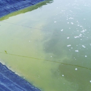 ��(du��)�r�tθ�t�μt�cһ��