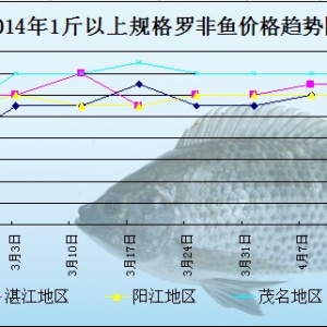 2014��4��21-28���_���~�܈�(b��o)�������������~�r(ji��)��(w��n)��