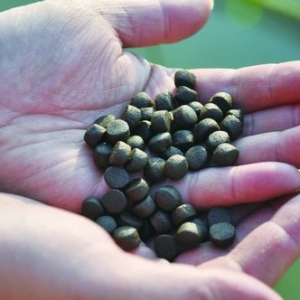 �����|�Bֳȫ��Ͷ�ϫ@ͻ��