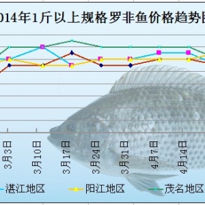 2014��4��29-5��5���_���~�܈�(b��o)��Ͷ��ӽ�β  �_���~���كr(ji��)��