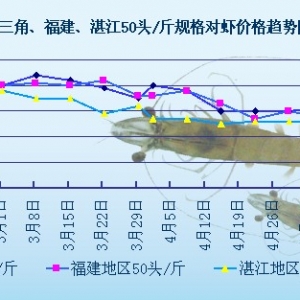 ���r�܈������Ӱ�  �V�|�r�rͶ����r��������