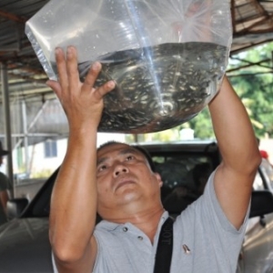 �A���_���~�B(y��ng)ֳ�����L(zh��ng)����