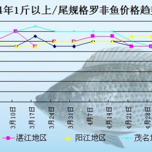 �_���~�܈�(b��o)���������ԝq  �r(ji��)��(w��n)������