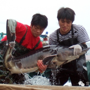 ������{���{(l��n)�ɘ�Թ�˾����֧��9ǧ�f