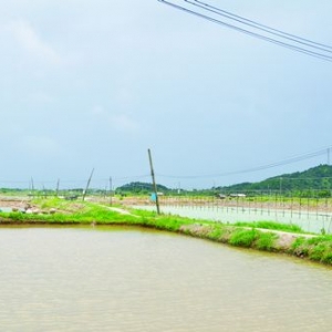 �V�|��(du��)�r�����B(y��ng)ֳ�������o���D(zhu��n)