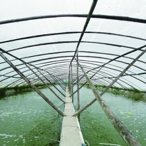 ����A�|���r