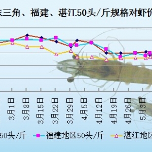 ���r��߅�r���ߜ����Ӱ�  ���r�r���»�