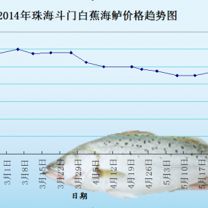 2014��5��27�պ��|�܈󣺴������^�� �r����ϝq