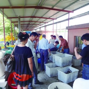 ���M�a(ch��n)�I(y��)�l(f��)չ�F(xi��n)���cǰ��