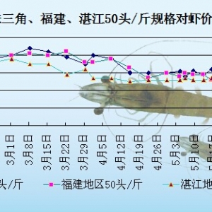 ���r�܈󣺲��r�ࡢ�N����  �r�r�µ�