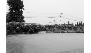 707�����~�Bֳ���������D�a