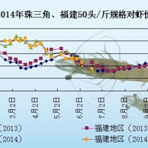 ���r�܈� �r�r���m�»���   ���w�������
