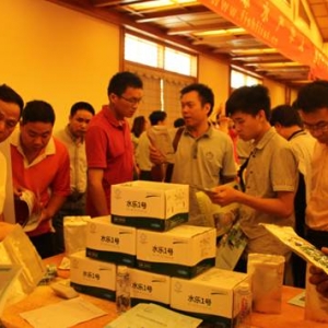 ��(du��)�r�B(y��ng)ֳ��(sh��)��(zh��n)������(hu��)�F(xi��n)��(ch��ng)���M200%��