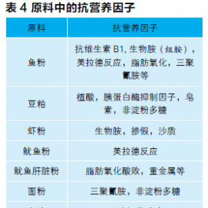 Orapint Jintasataporn���~��������޿��I�B����