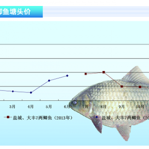 �a�~���������p�������鷀��������ˮ�aǰ�ء�2014��7�¿��Ј�څ��