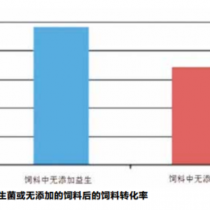 �����_���~�Bֳ��������