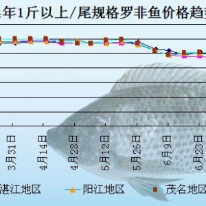 �_���~�܈��������M��߰l(f��)��   �_���~�����ʸ�